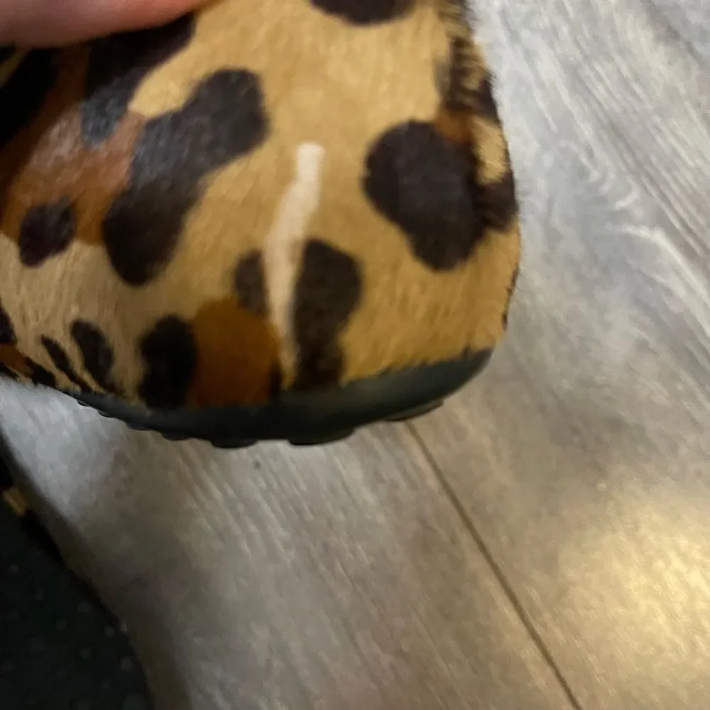 The Original Car Show sz 9 Leopard Print